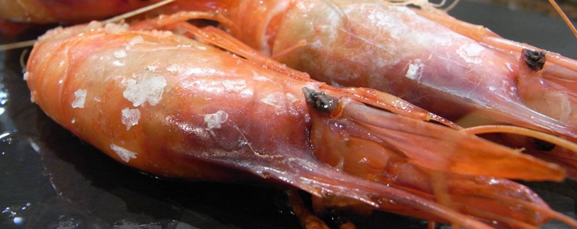 Casa Isabel-gamba denia